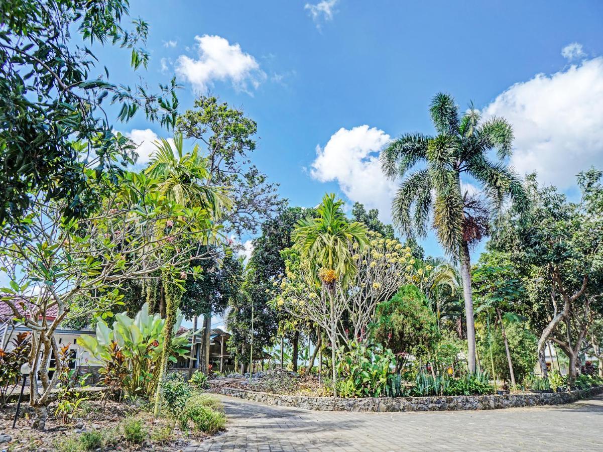 Oyo 92869 Hotel Nusantara Banyuwangi  Exteriér fotografie